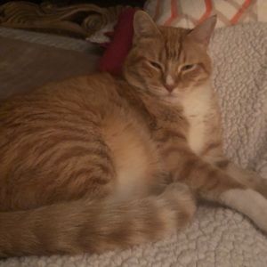 Meet your Posher, Celia